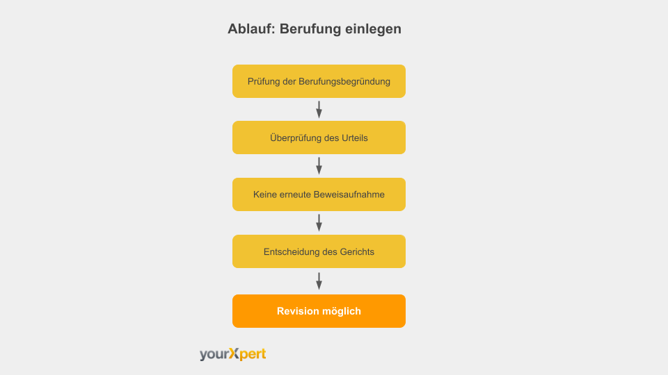 Berufung einlegen Fehlerhaftes Urteil was tun?